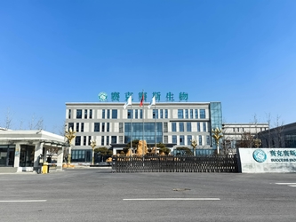 Shandong Saikesaisi Hydrogen Energy Co., Ltd สายการผลิตของผู้ผลิต